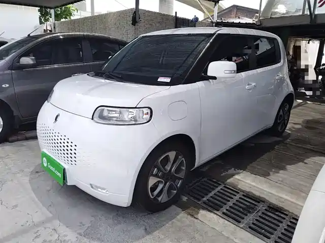 2021 Ora R2/White Cat