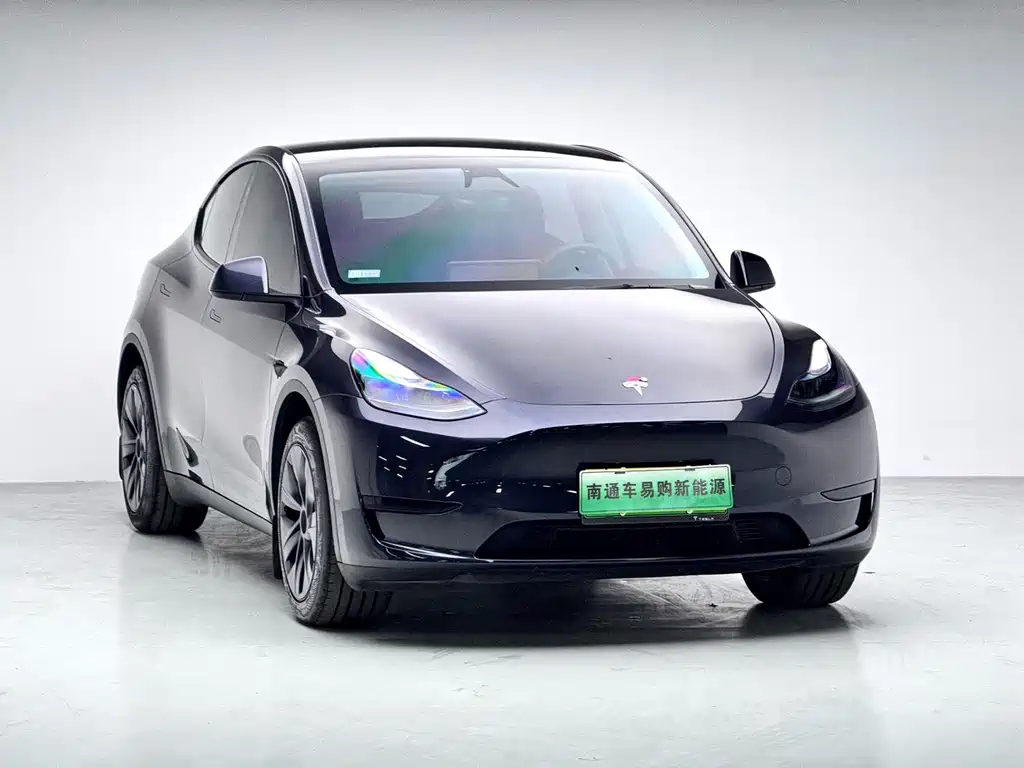 Tesla Model Y — миниатюра 3