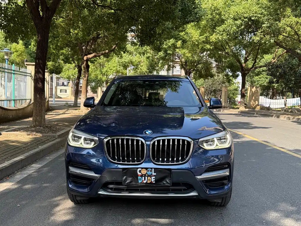 BMW X3 — миниатюра 2