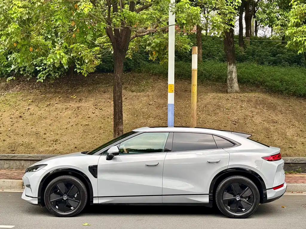 BYD L EV — миниатюра 6