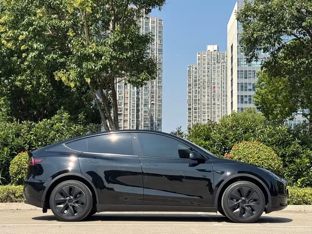 Tesla Model Y — миниатюра 19