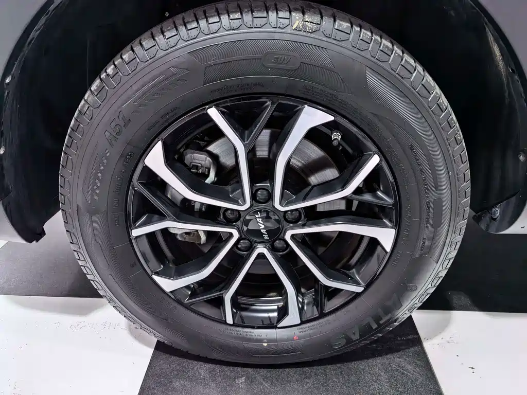 Haval H6 — миниатюра 8