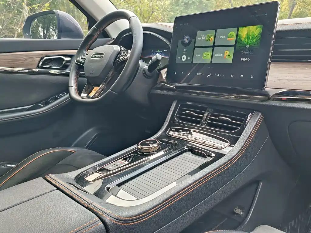Skyworth EV6 — миниатюра 24