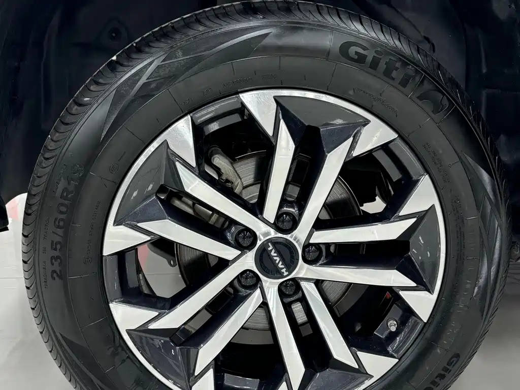 Haval Big Dog — миниатюра 20