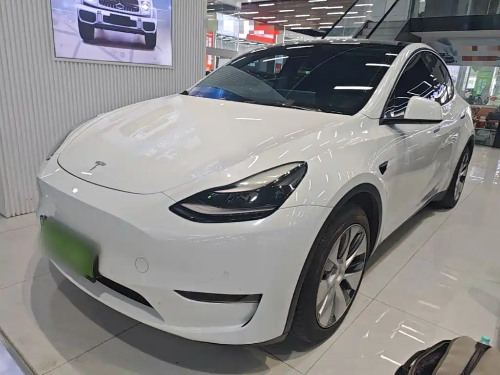 Tesla Model Y — миниатюра 2