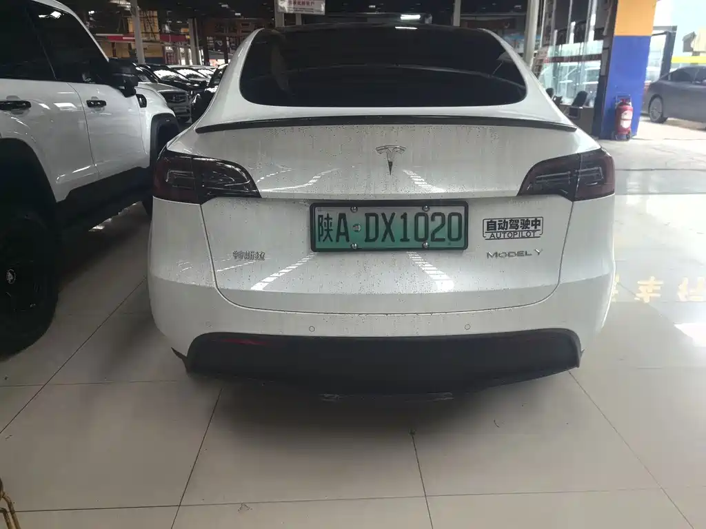 Tesla Model Y — миниатюра 6