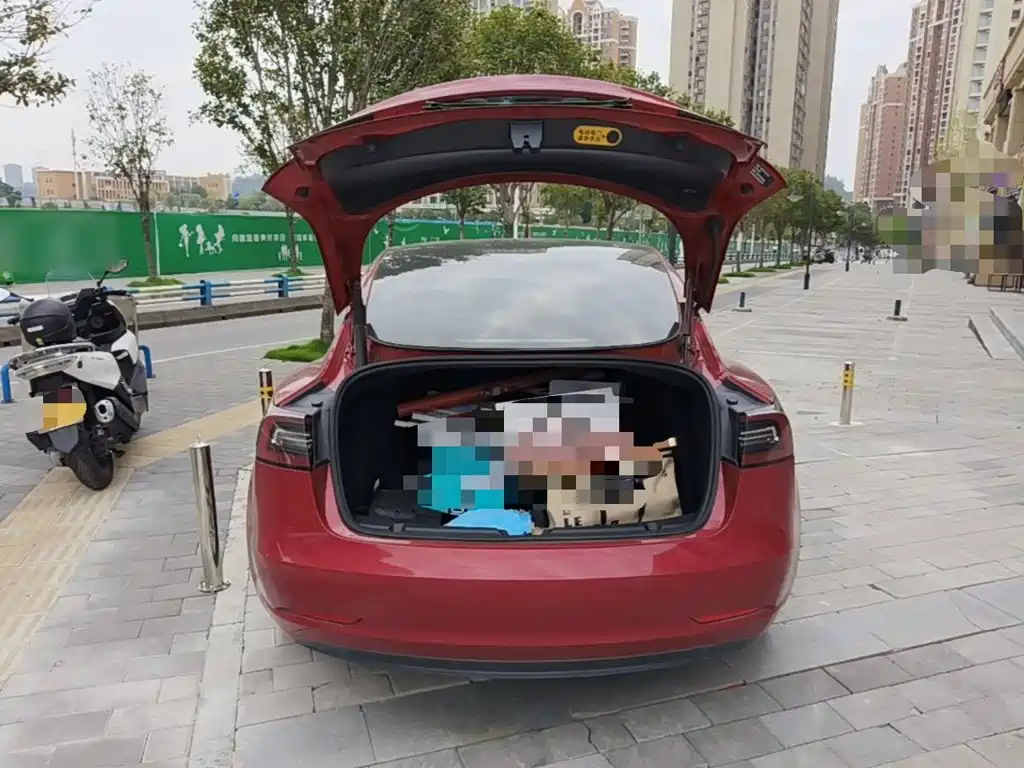 Tesla Model 3 — миниатюра 19