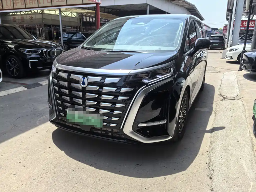 Denza D9