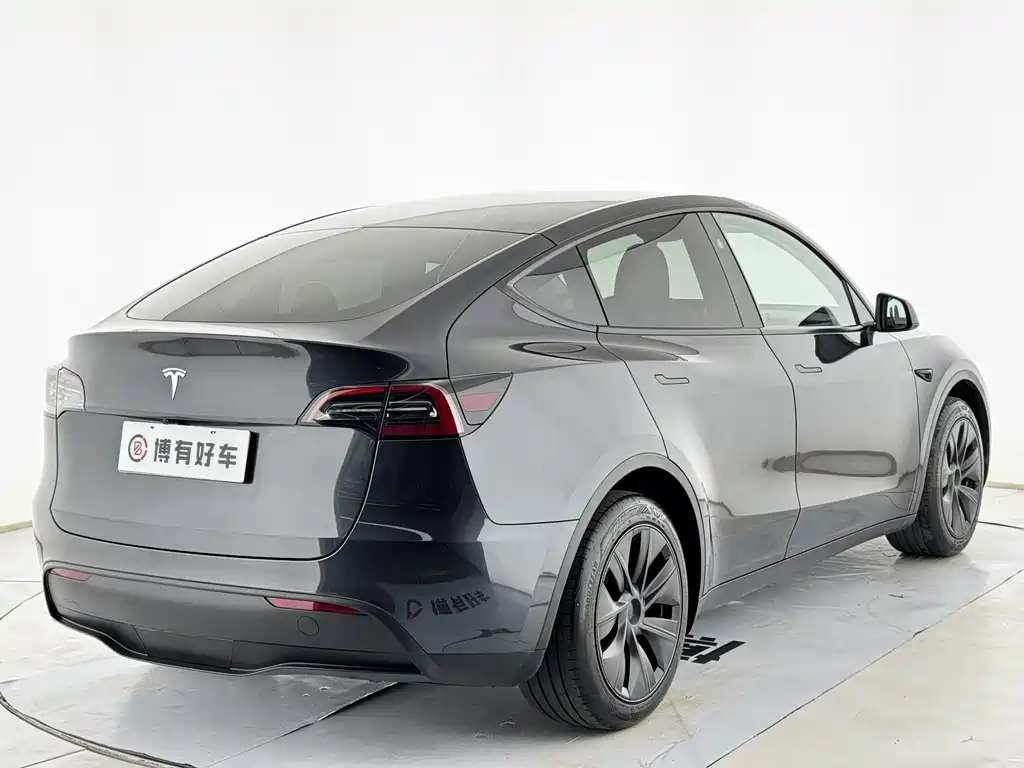 Tesla Model Y — миниатюра 13