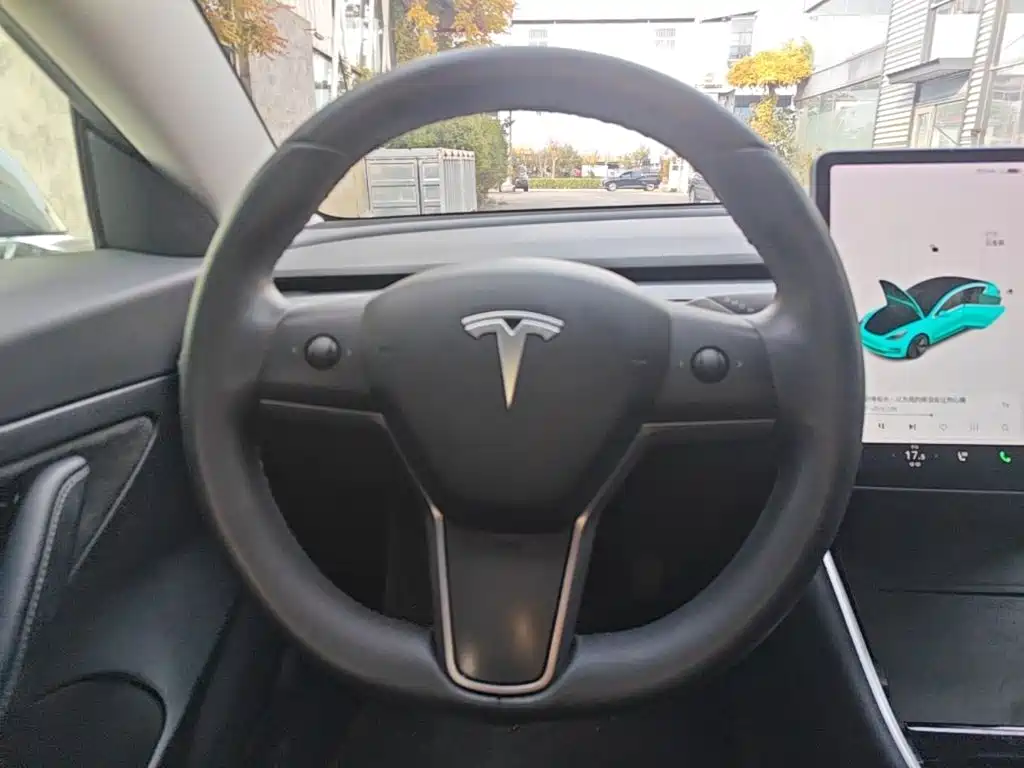 Tesla Model 3 — миниатюра 11