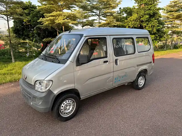 2020 Wuling Motors Sunshine