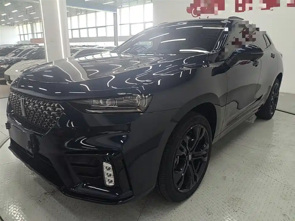 Купить Wey Wey VV7