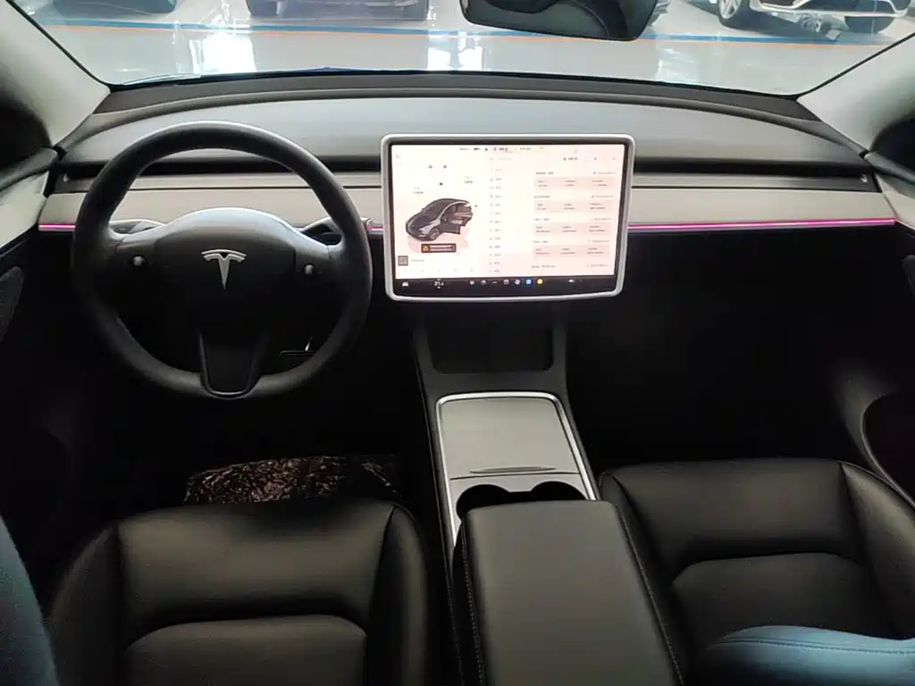 Tesla Model Y — миниатюра 10