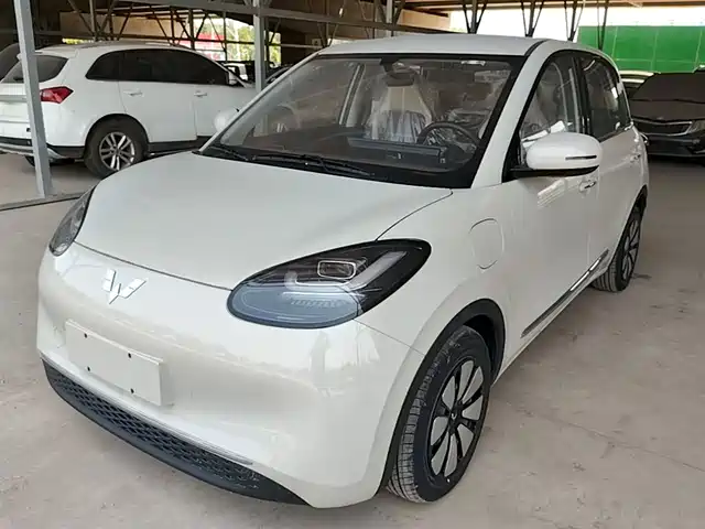 2024 Wuling Motors Binguo