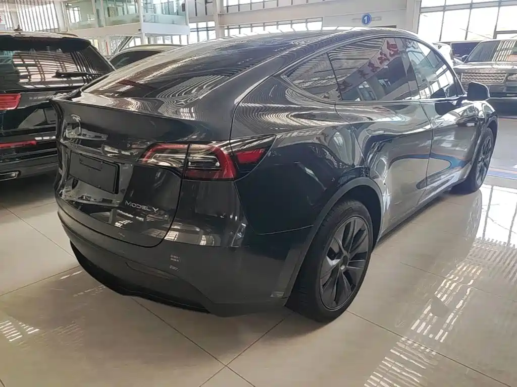 Tesla Model Y — миниатюра 7