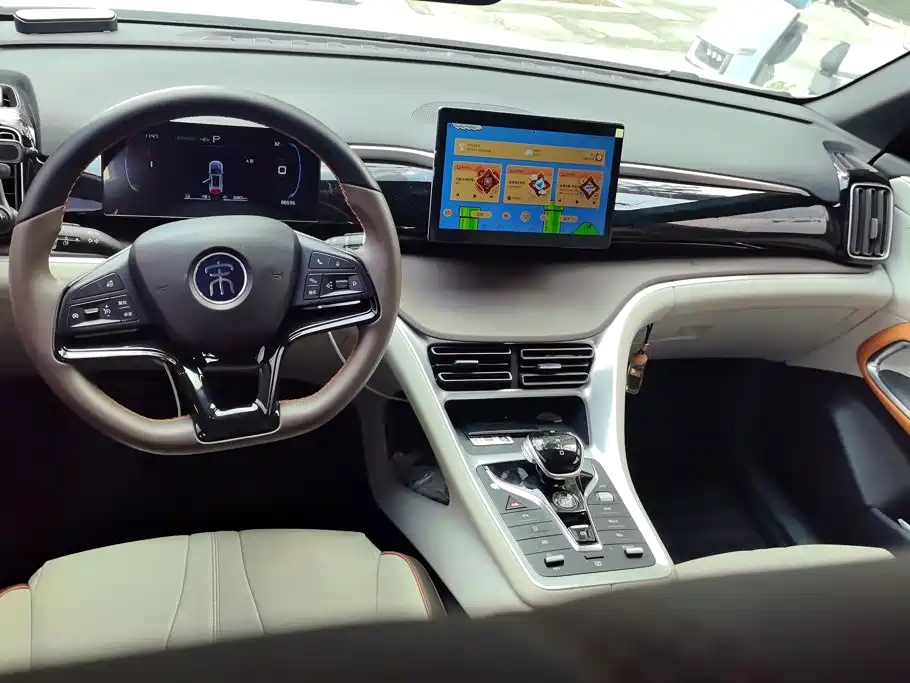 BYD Pro New Energy — миниатюра 12