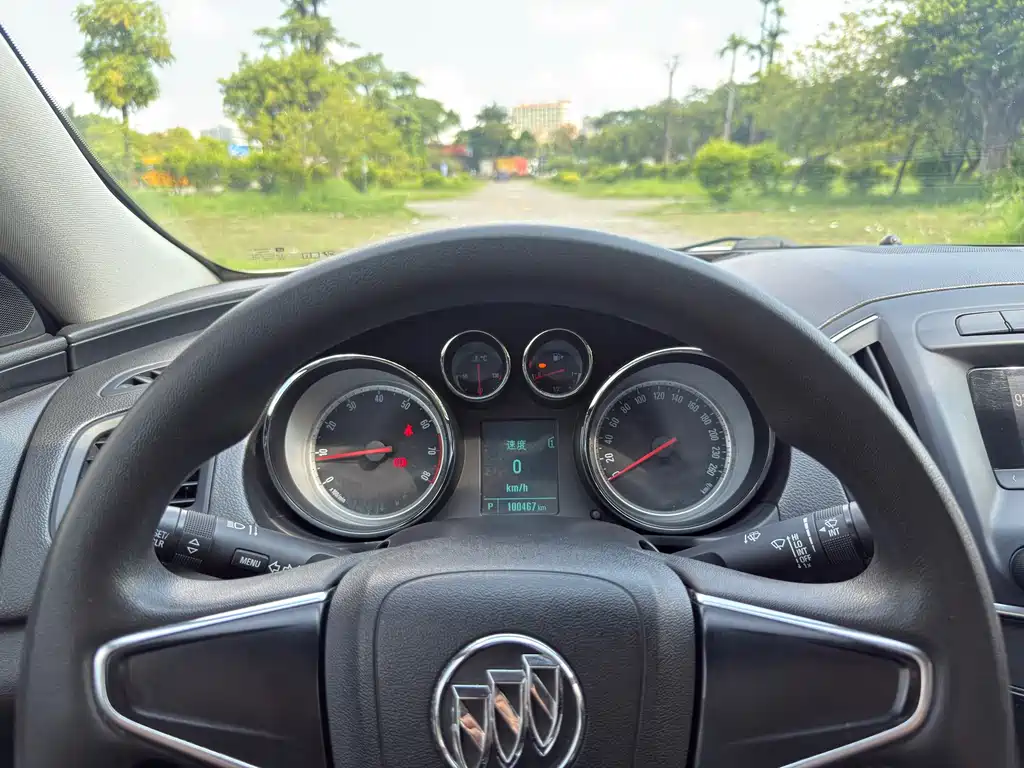 Buick Regal — миниатюра 18