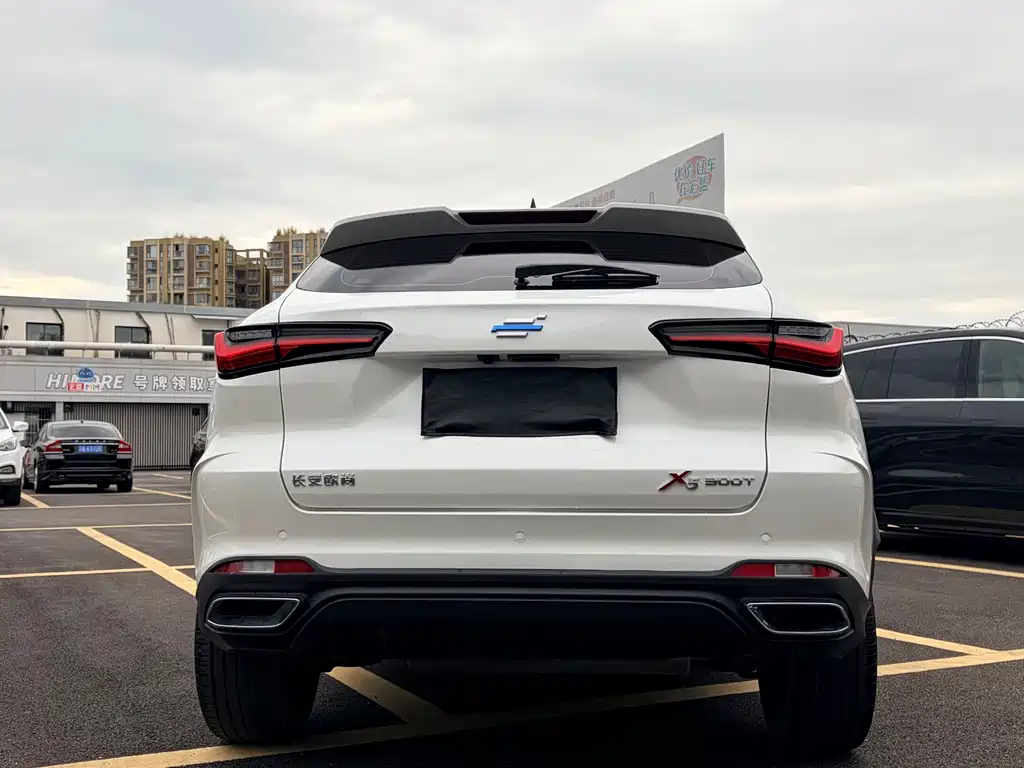 Oshan Oushang X5 — миниатюра 6