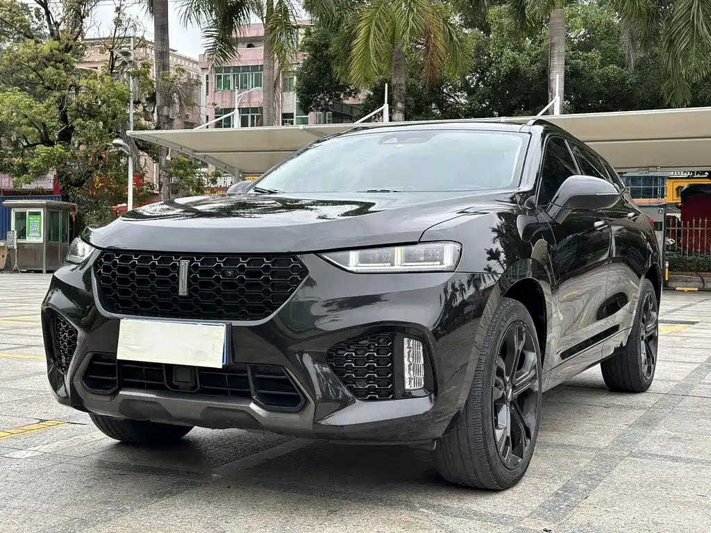 WEI PAI WEI BRAND VV7