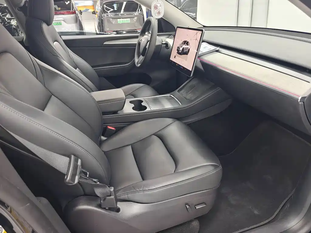 Tesla Model Y — миниатюра 10