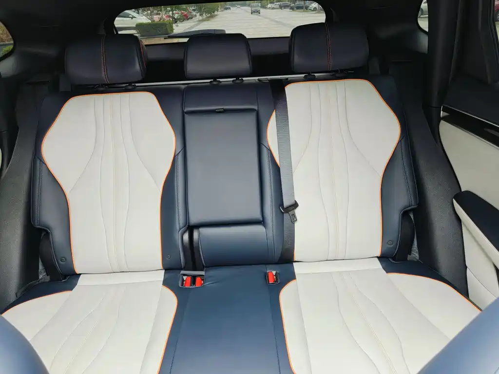 BYD SONGJIANG NEW ENERGY