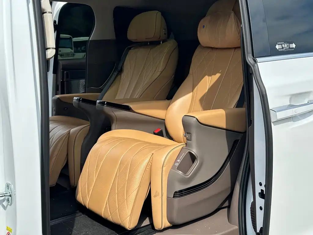 Denza Denza D9 — миниатюра 9