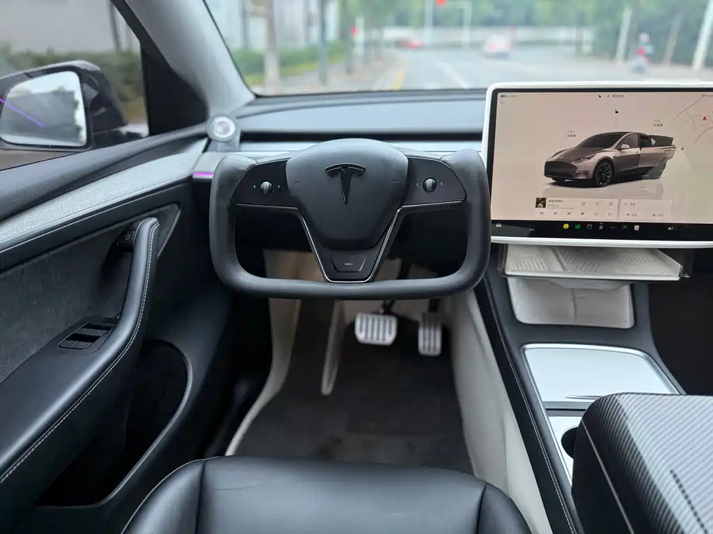 Tesla Model Y — миниатюра 7