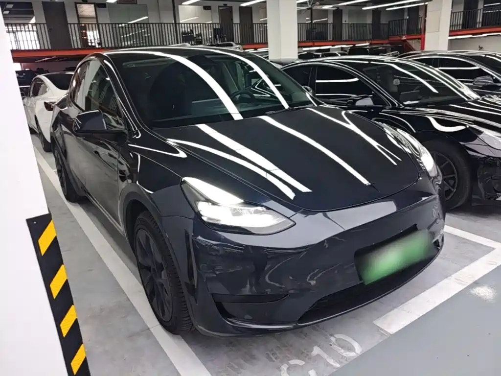 Tesla Model Y — миниатюра 4