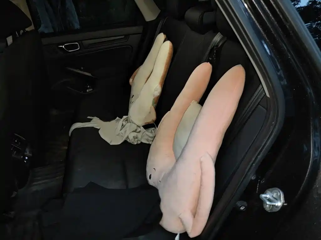 Honda Integra — миниатюра 15