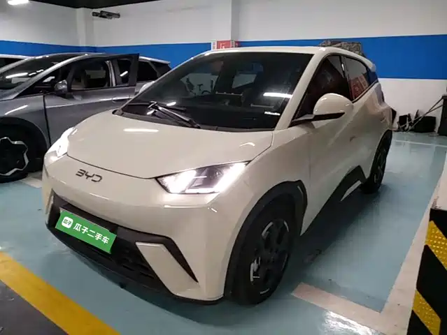 2024 BYD Seagull