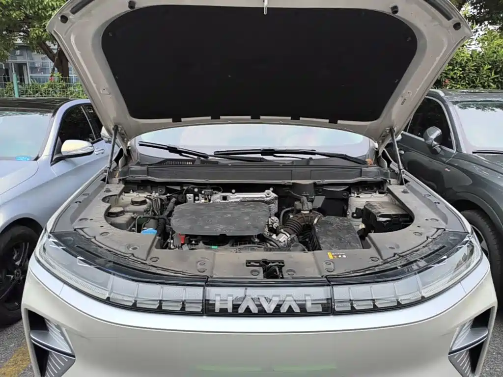 Haval Xiaolong MAX — миниатюра 20