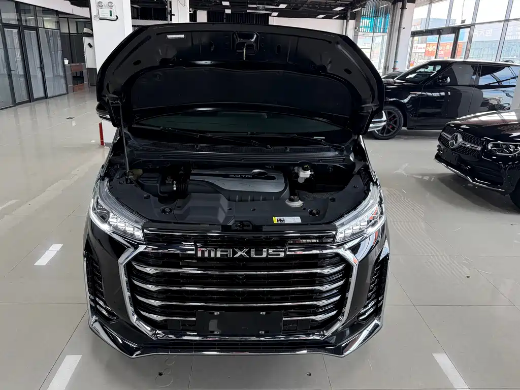 Maxus G20 — миниатюра 19