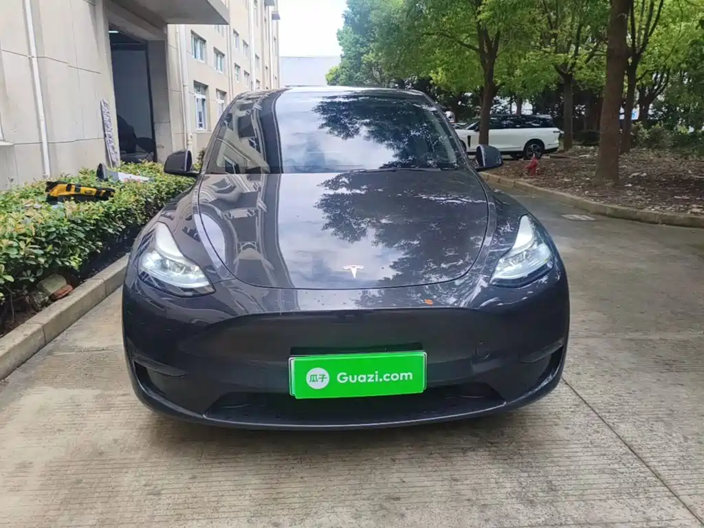 Tesla Model Y — миниатюра 3