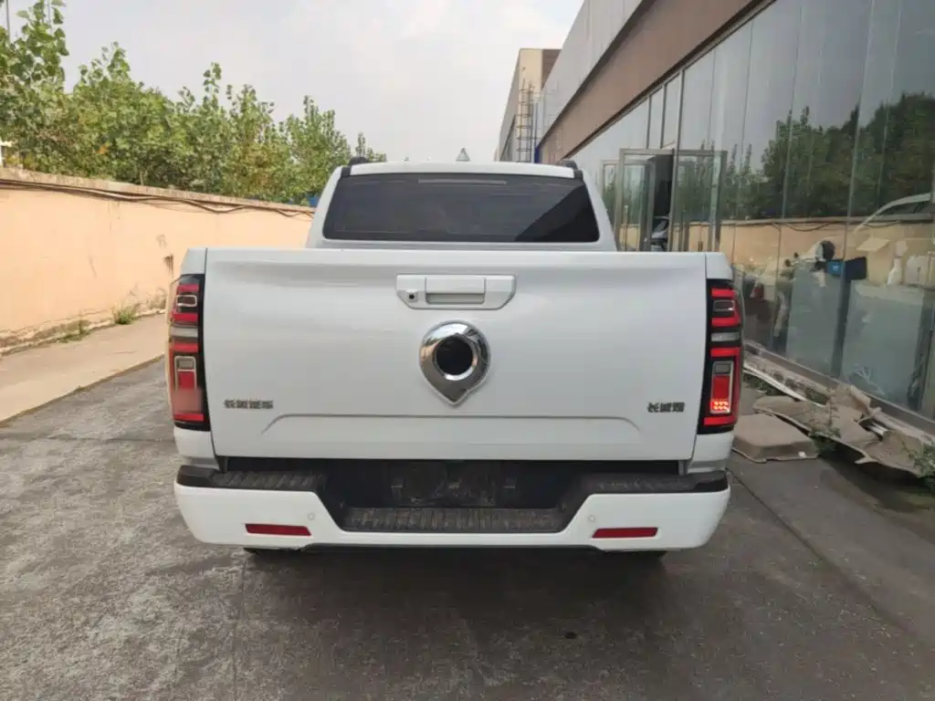 Great Wall Pao — миниатюра 6