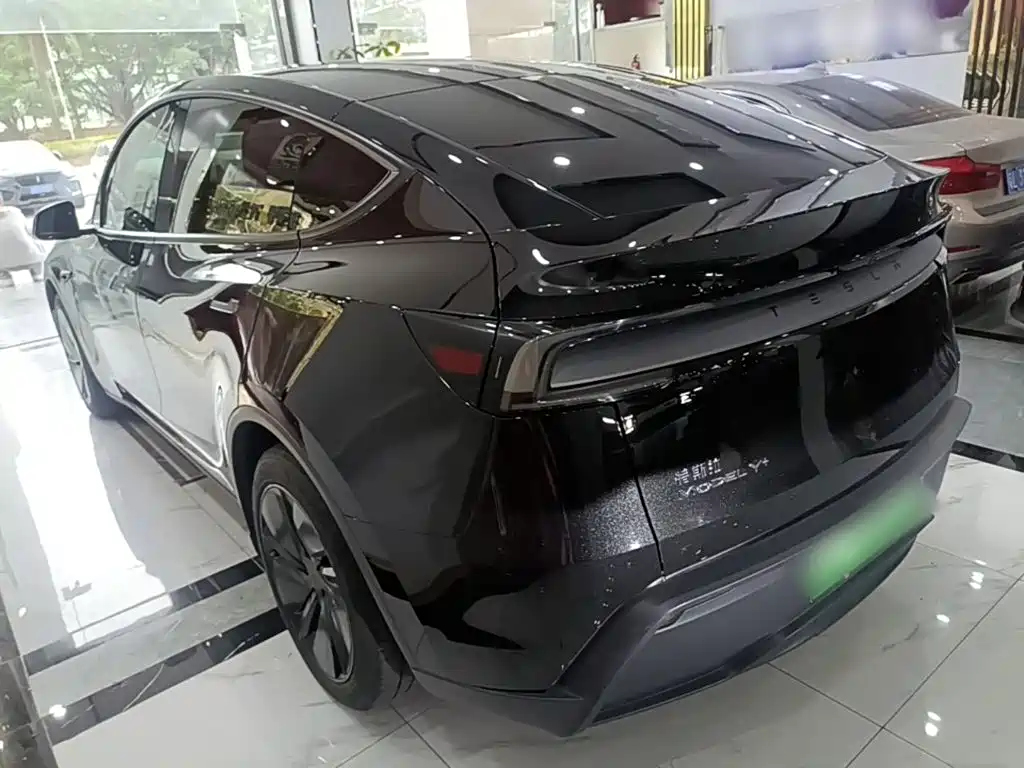 Tesla Model Y — миниатюра 5
