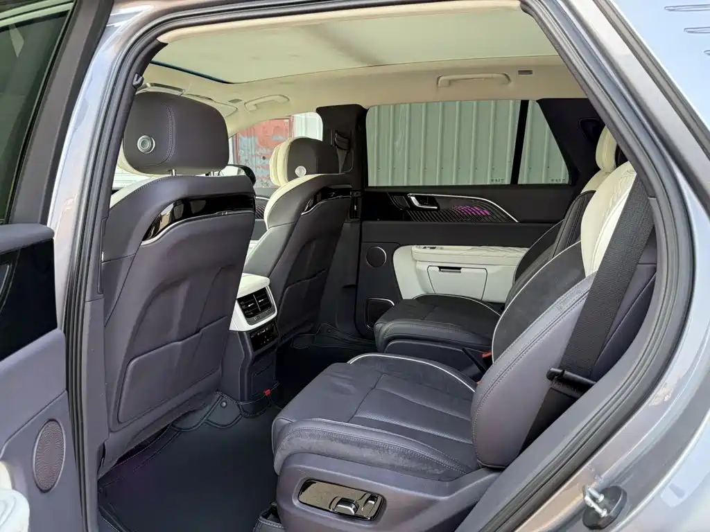 Hongqi E-HS9 2021 460km мест