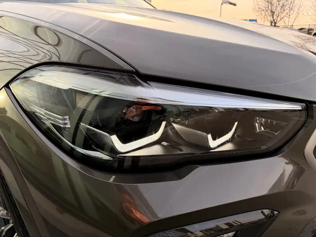 BMW X6 2020 xDrive30i M Sport