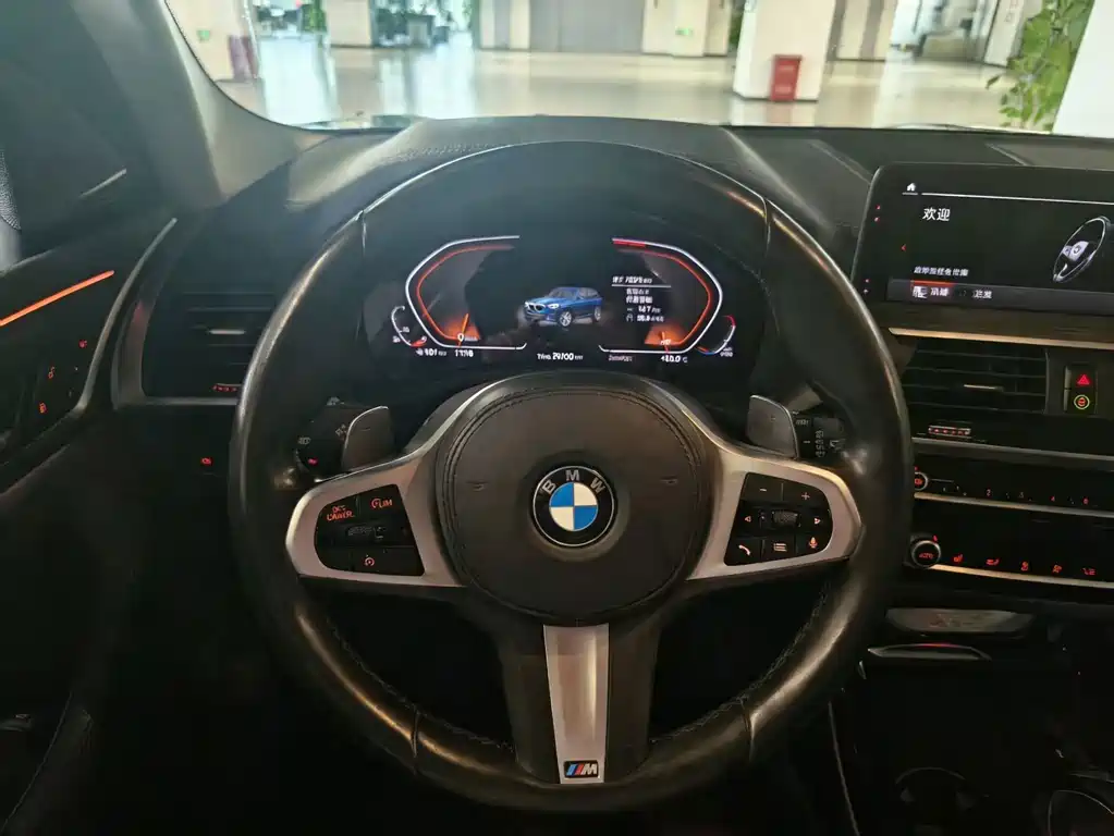 BMW X3 — миниатюра 15