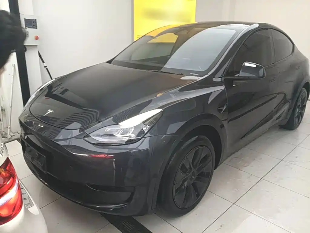 Tesla Model Y — миниатюра 2