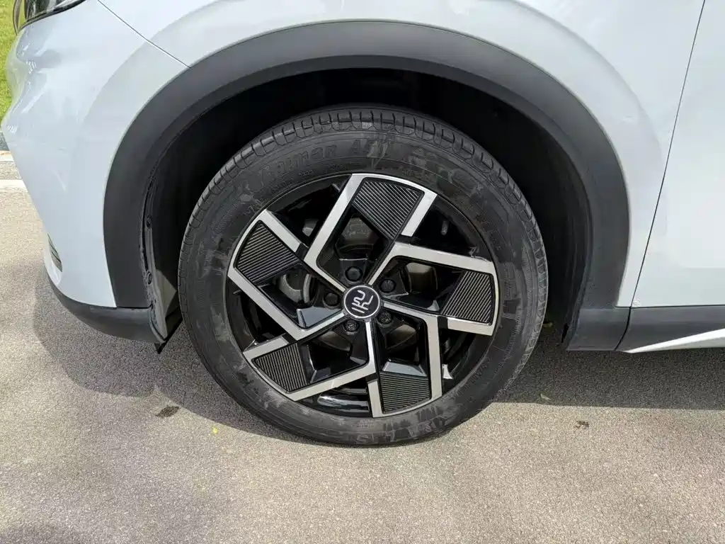 BYD Yuan Plus — миниатюра 23
