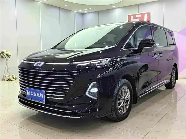 2025 Bestune M9
