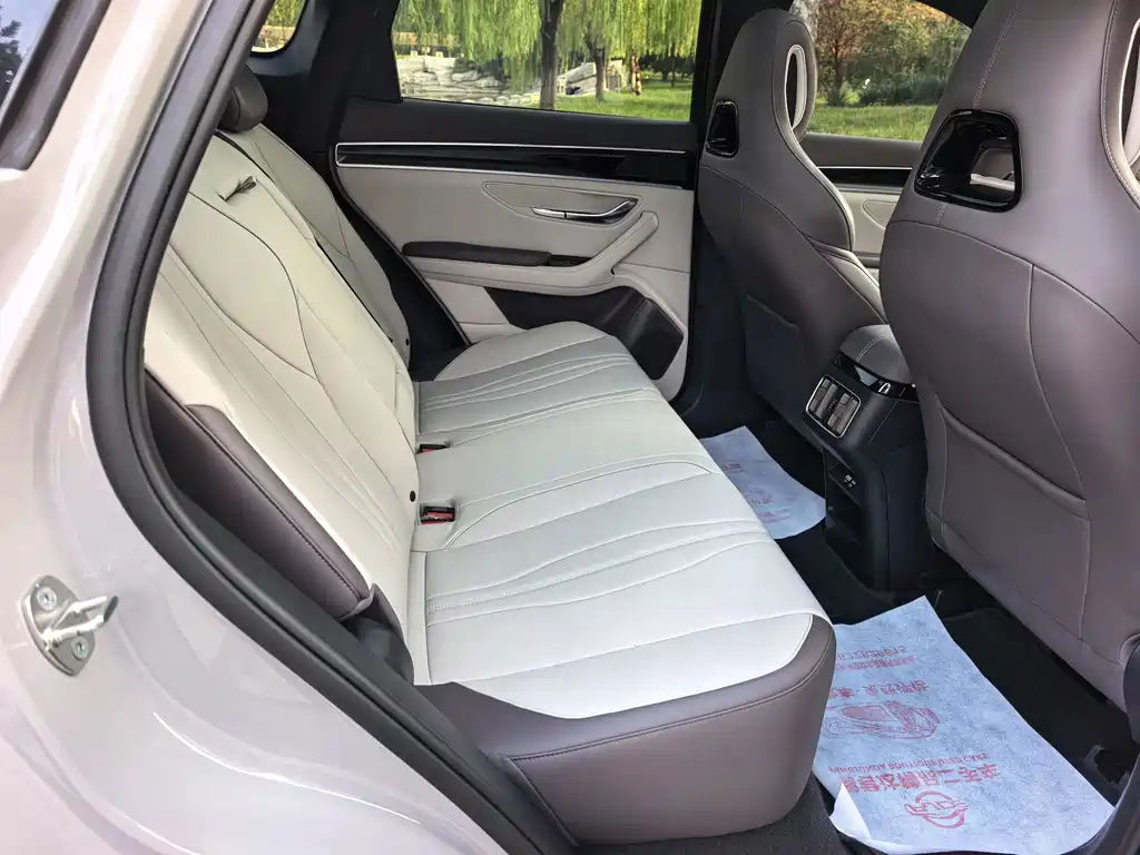 BYD PLUS New Energy — миниатюра 9