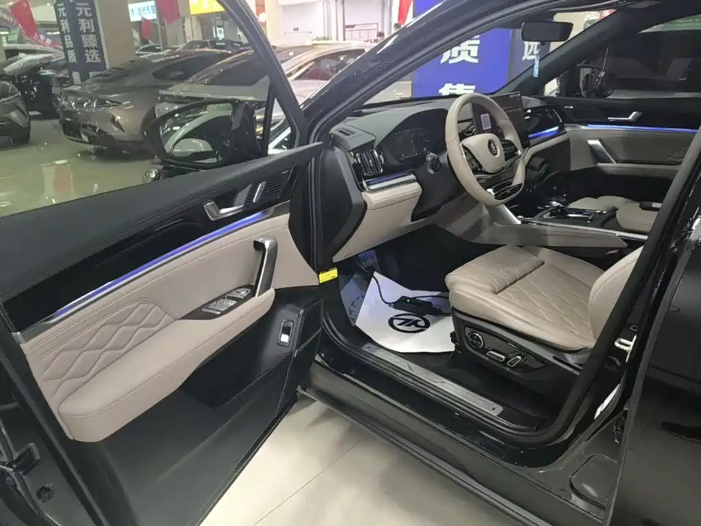 BYD Tang New Energy — миниатюра 16