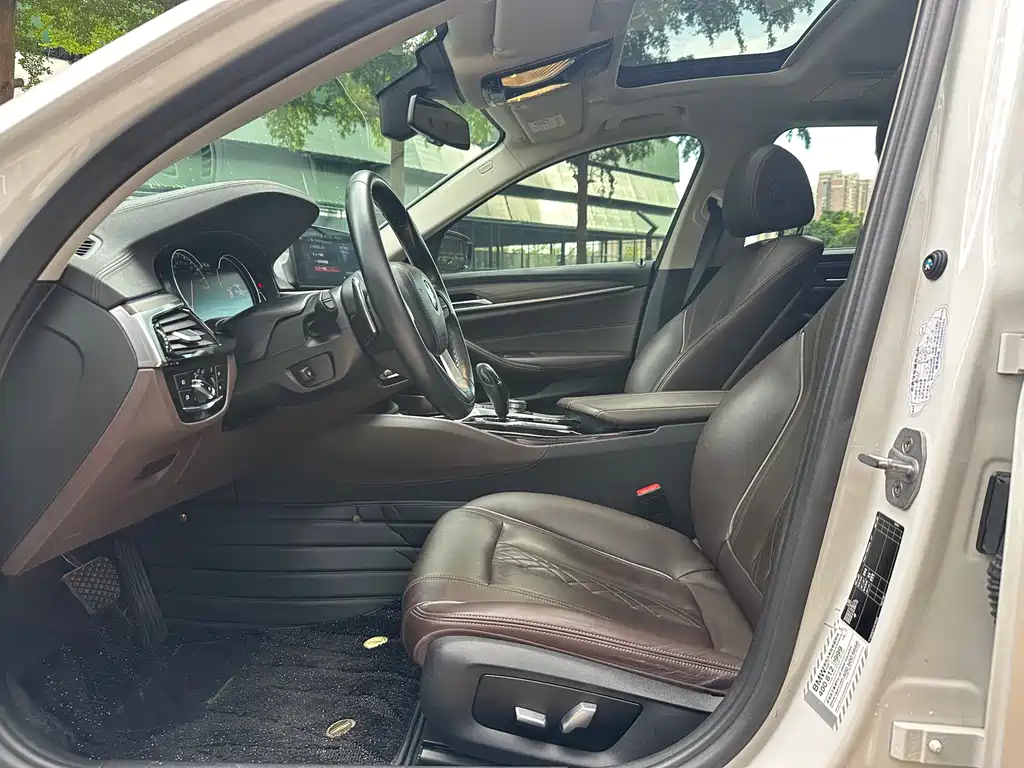 BMW 5 Series 5 2018 530Li Premium Luxury