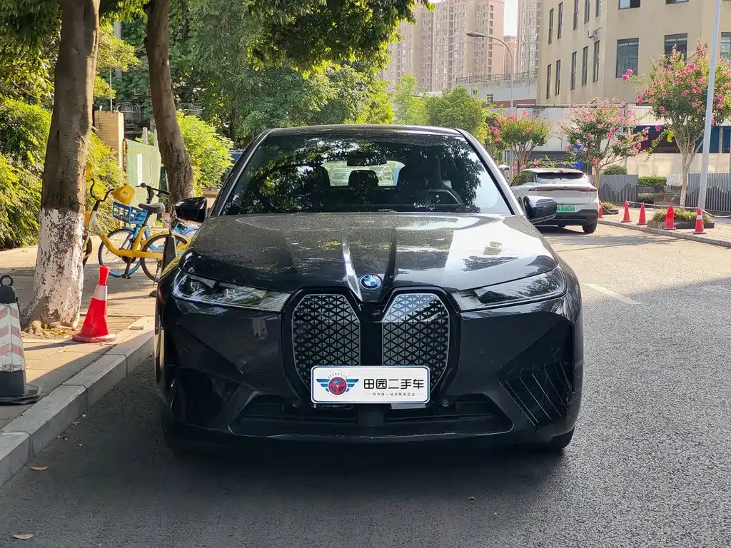 BMW iX — миниатюра 2