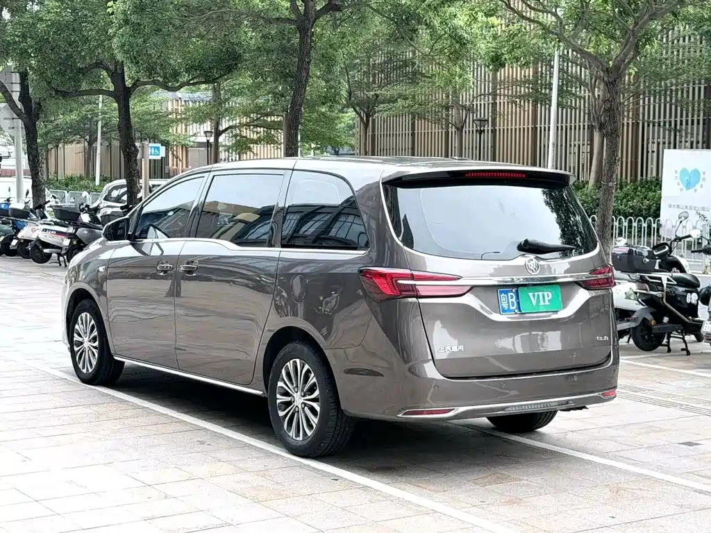 Buick GL8 — миниатюра 13