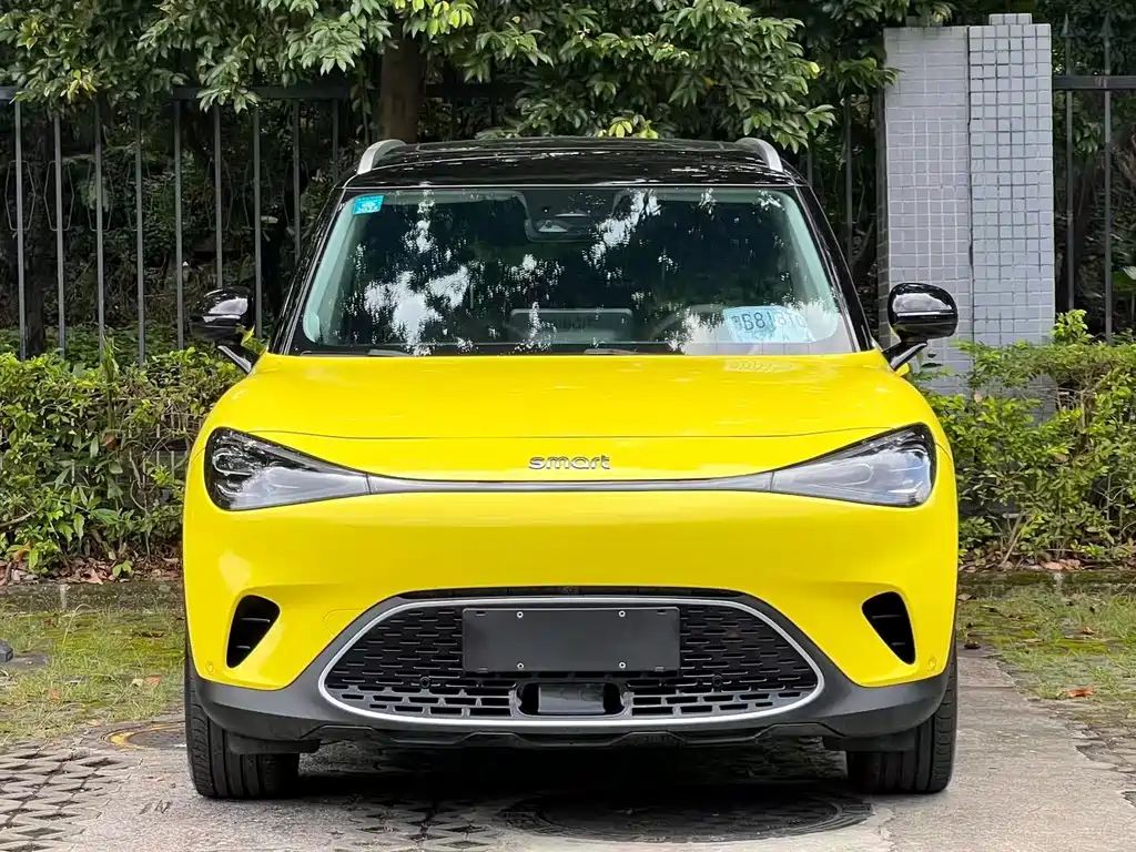 smart Smart #1 — миниатюра 2