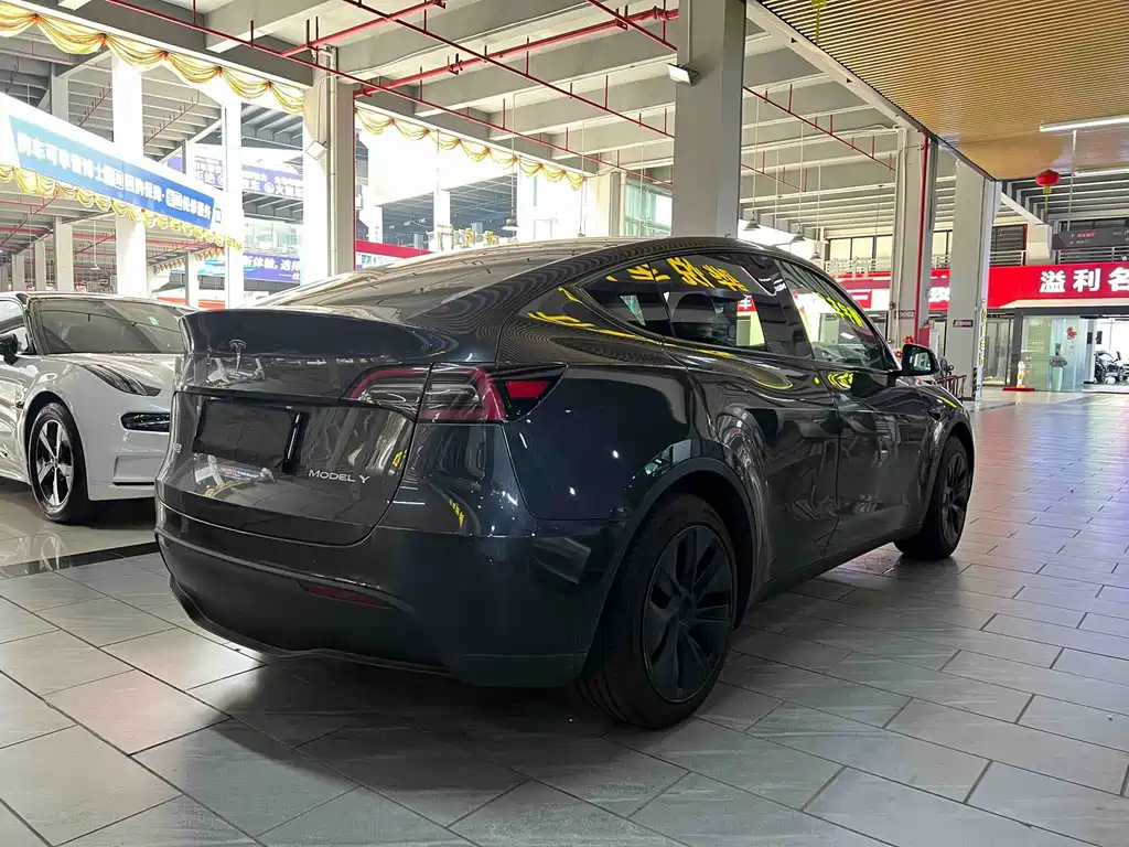 Tesla Model Y — миниатюра 2