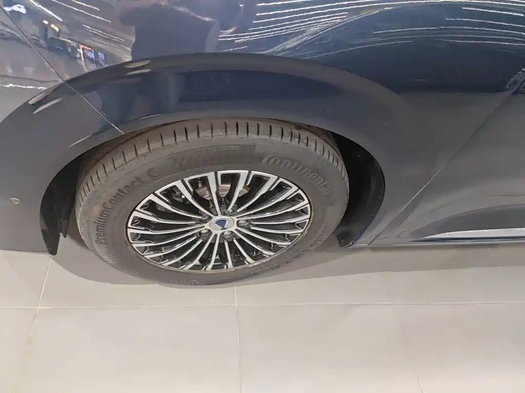 Denza Denza D9 — миниатюра 23