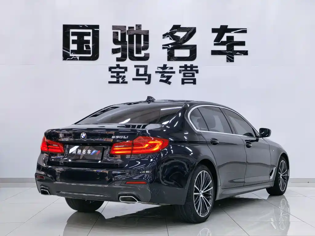 BMW 5 Series — миниатюра 4